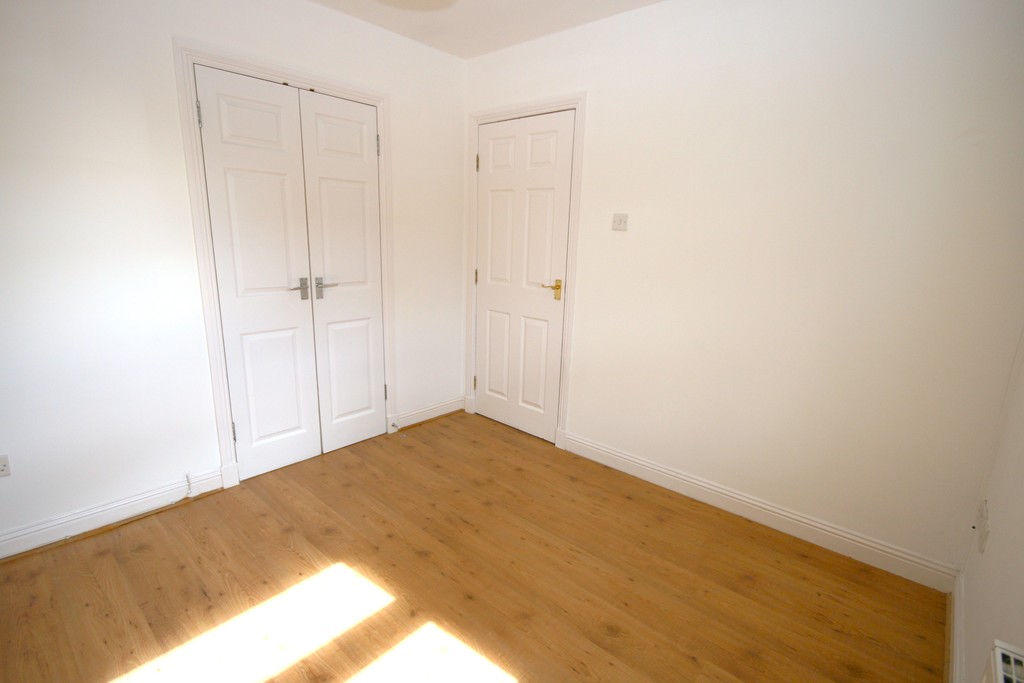 IMG_165_21_large