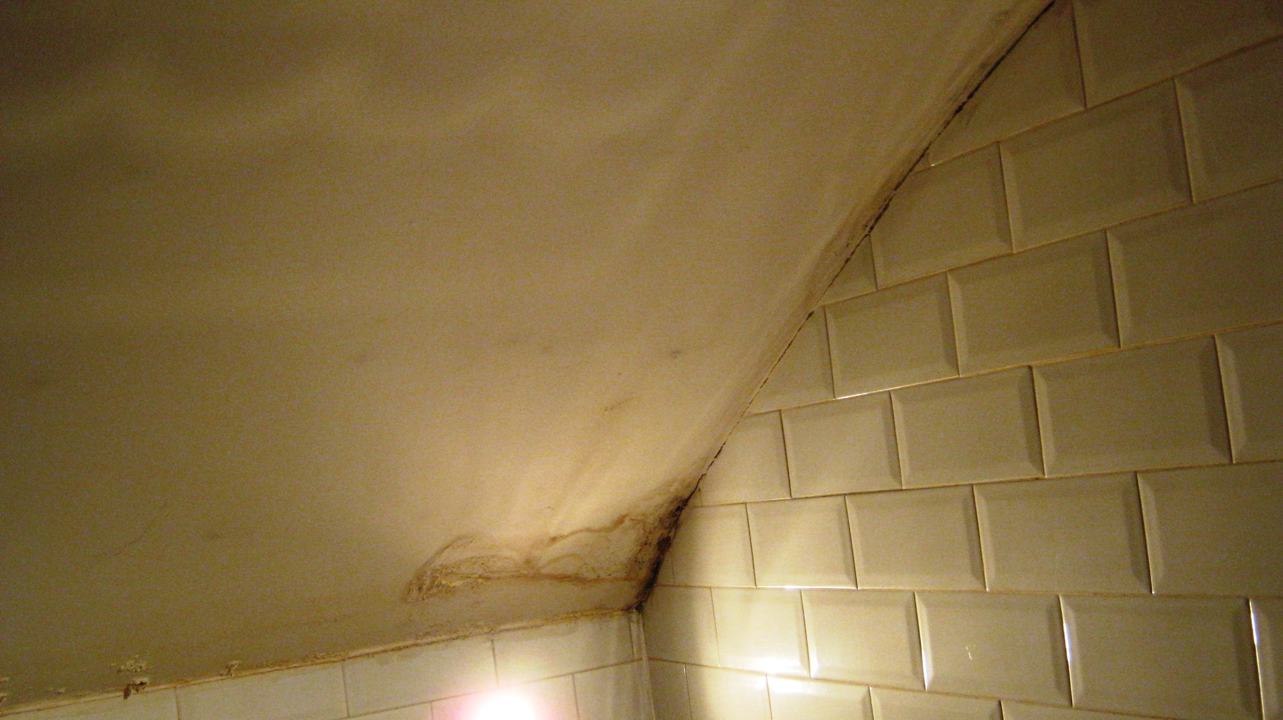 Damp coming through a bathroom ceiling in a Glasgow flat